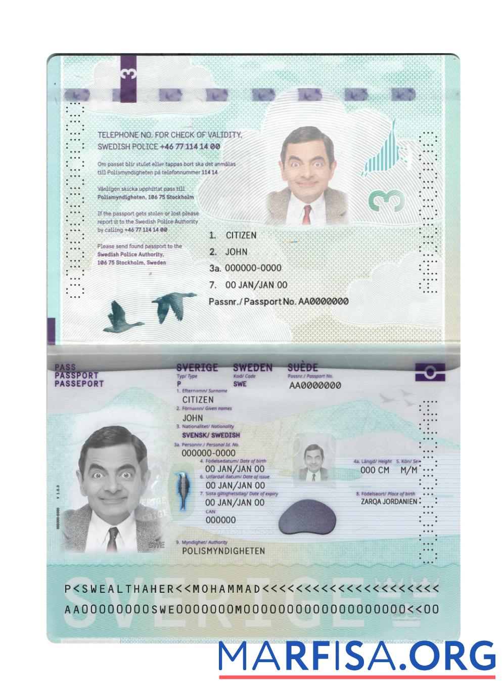 Realistic Sweden passport new 2022 present sample